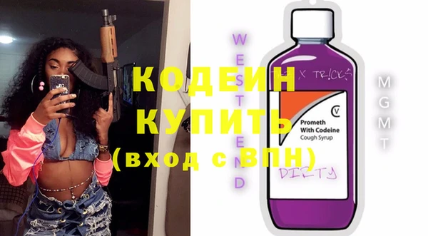 индика Каменск-Шахтинский