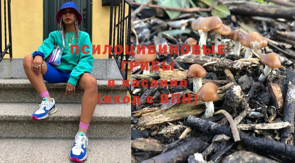 индика Каменск-Шахтинский