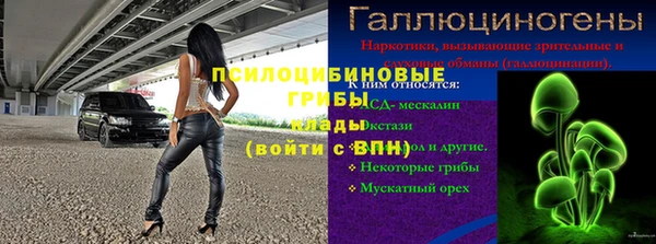 spice Касимов