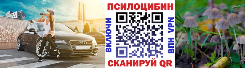 Псилоцибиновые грибы прущие грибы  Купить где  Суворов 